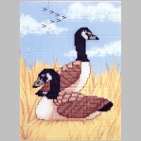 1988-01_16-geese.jpg